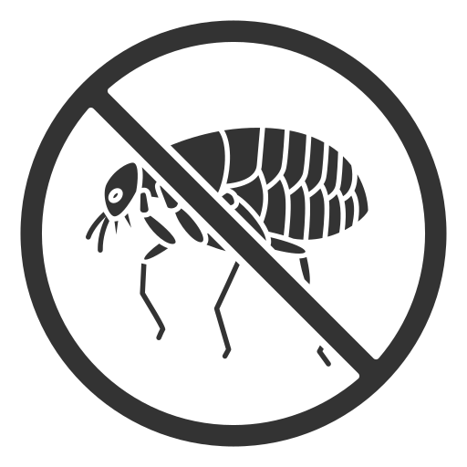 Cafards, blattes, punaises de lit, fourmis, insectes rampants nuisibles